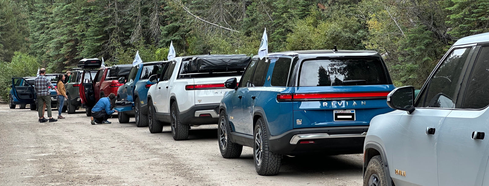 a row of Rivians ready to drive