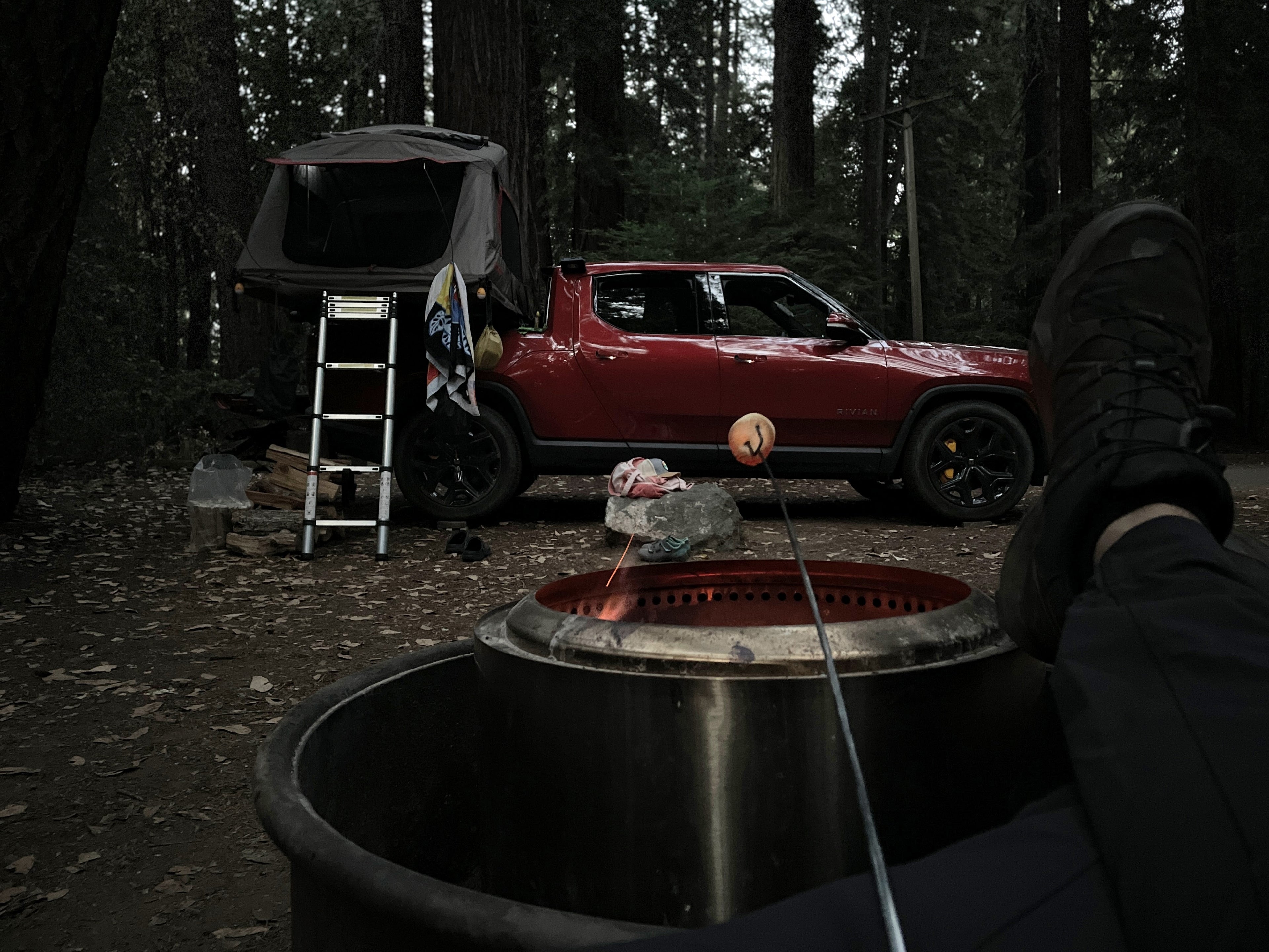 Hendy Woods State Park, California