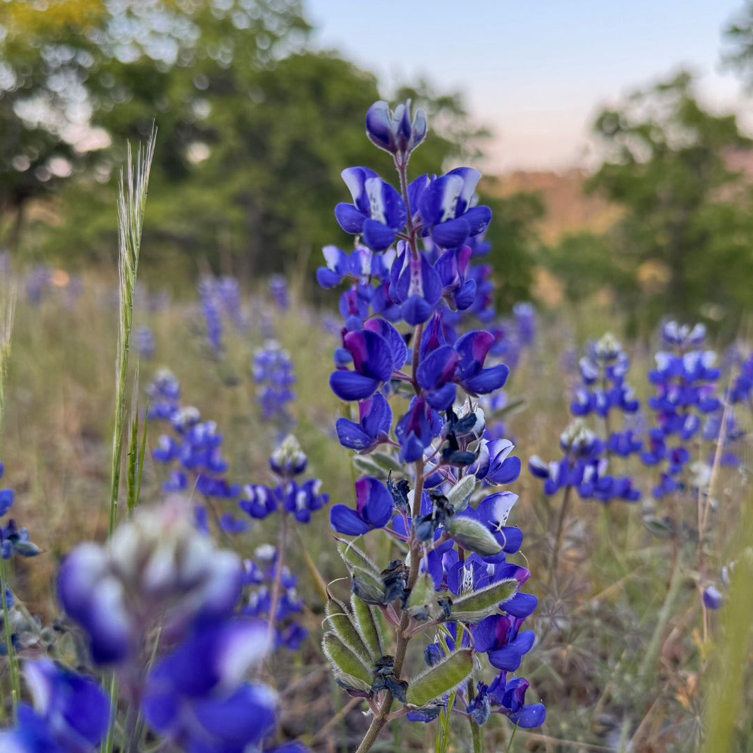 Earth Day: A Reminder That Big Changes Are Possible