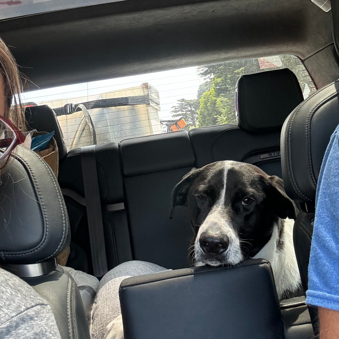 Off to the Beach!