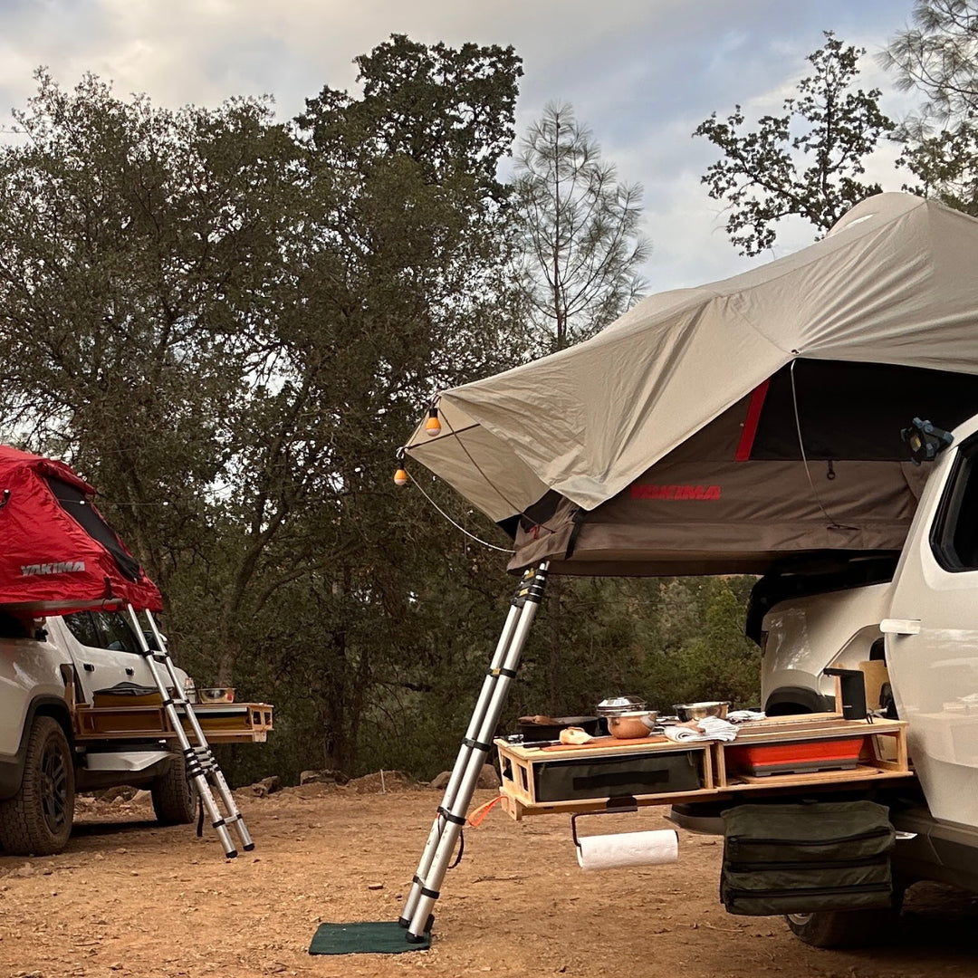 Camping Fun